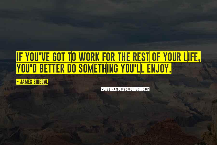 James Sinegal Quotes: If you've got to work for the rest of your life, you'd better do something you'll enjoy.