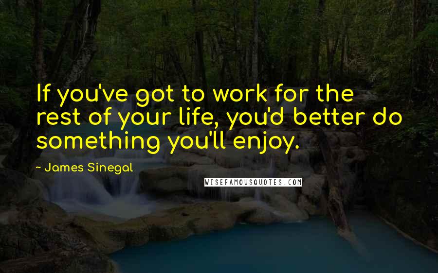 James Sinegal Quotes: If you've got to work for the rest of your life, you'd better do something you'll enjoy.