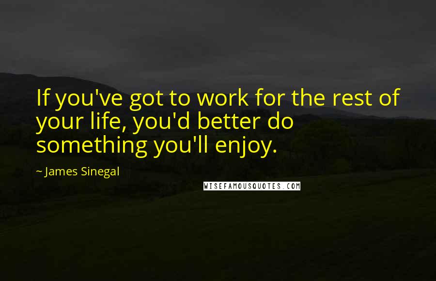 James Sinegal Quotes: If you've got to work for the rest of your life, you'd better do something you'll enjoy.