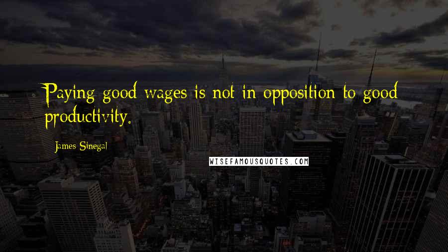 James Sinegal Quotes: Paying good wages is not in opposition to good productivity.
