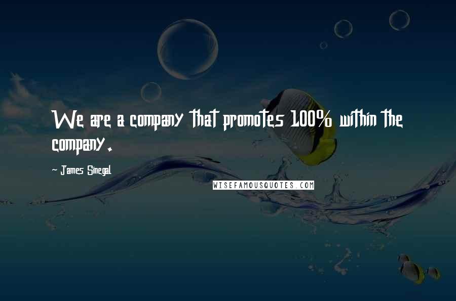 James Sinegal Quotes: We are a company that promotes 100% within the company.