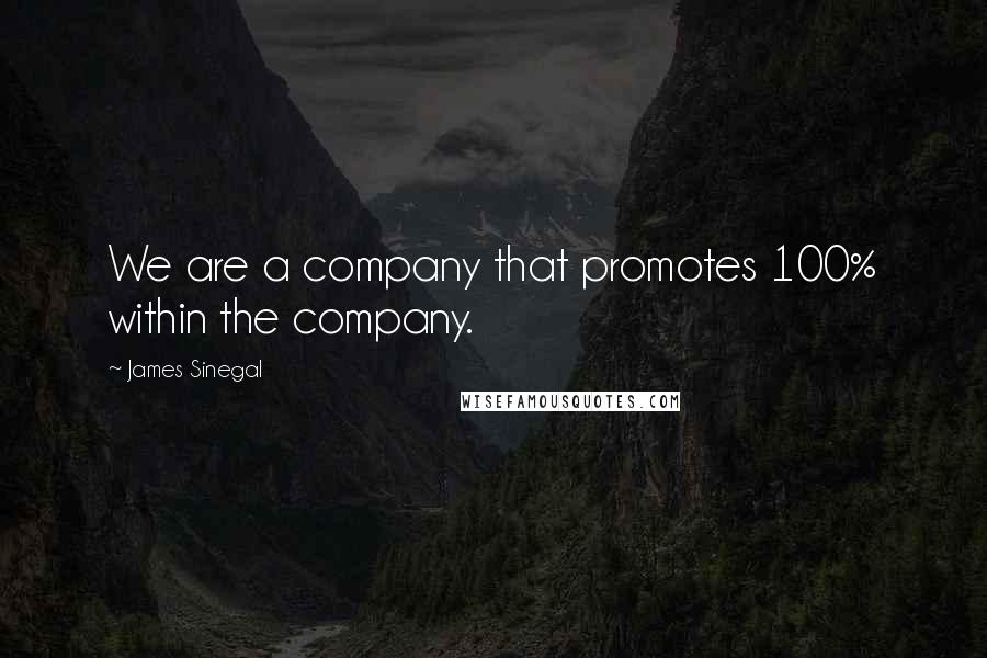 James Sinegal Quotes: We are a company that promotes 100% within the company.