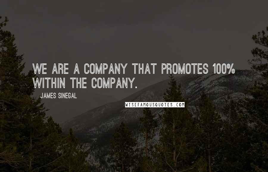 James Sinegal Quotes: We are a company that promotes 100% within the company.