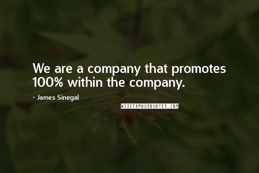 James Sinegal Quotes: We are a company that promotes 100% within the company.