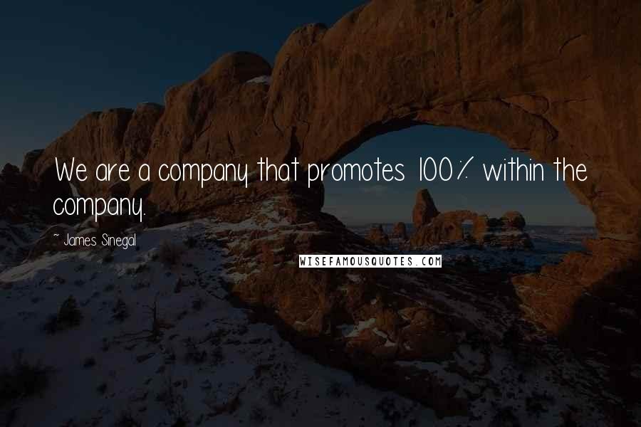 James Sinegal Quotes: We are a company that promotes 100% within the company.