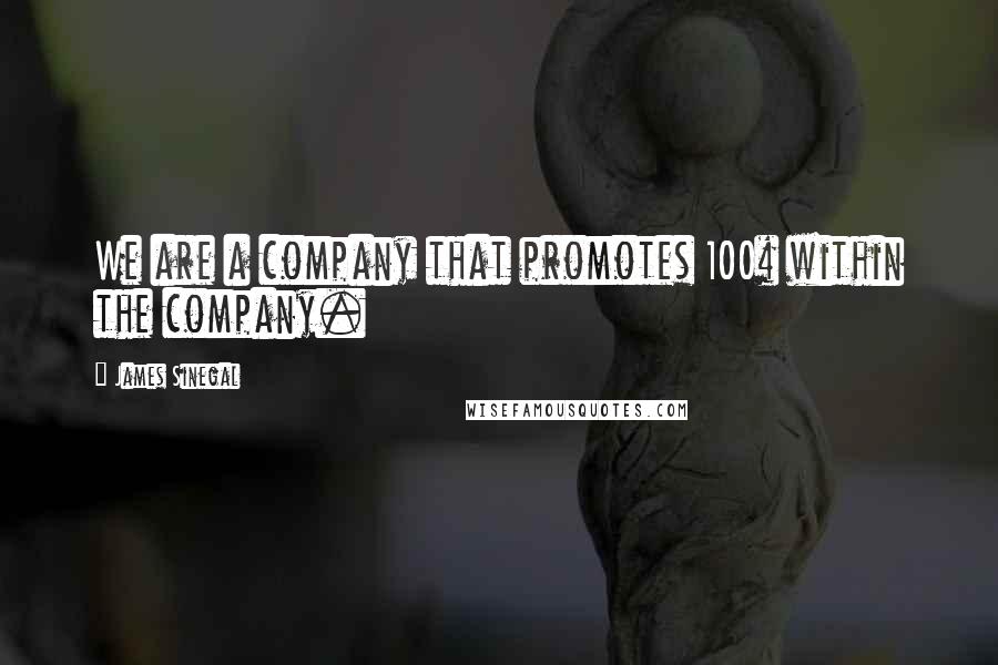 James Sinegal Quotes: We are a company that promotes 100% within the company.