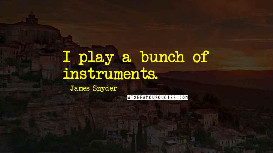 James Snyder Quotes: I play a bunch of instruments.