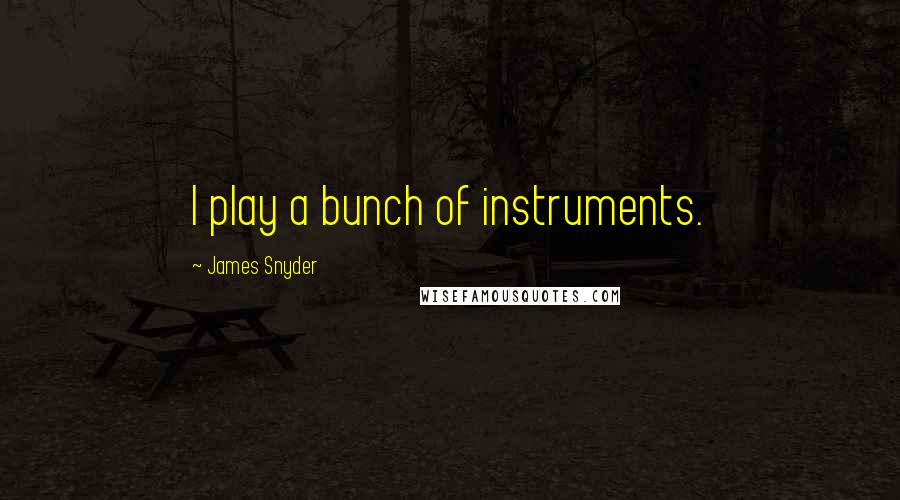 James Snyder Quotes: I play a bunch of instruments.