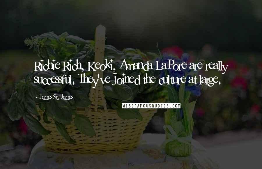 James St. James Quotes: Richie Rich, Keoki, Amanda LaPore are really successful. They've joined the culture at large.