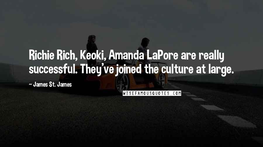 James St. James Quotes: Richie Rich, Keoki, Amanda LaPore are really successful. They've joined the culture at large.