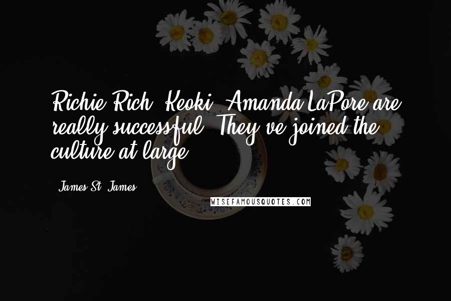 James St. James Quotes: Richie Rich, Keoki, Amanda LaPore are really successful. They've joined the culture at large.