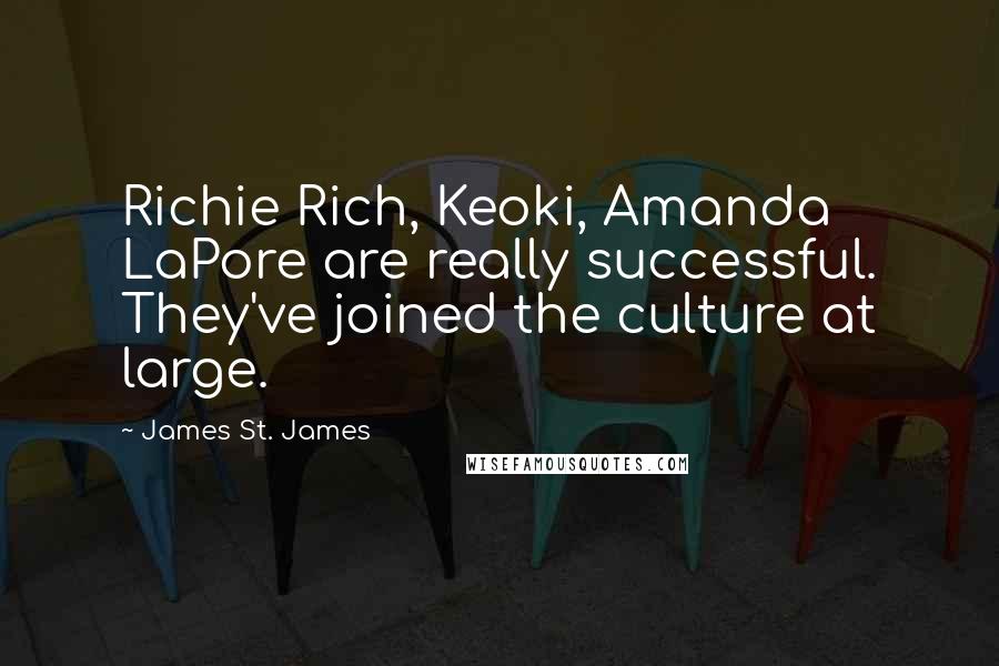 James St. James Quotes: Richie Rich, Keoki, Amanda LaPore are really successful. They've joined the culture at large.