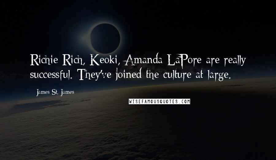 James St. James Quotes: Richie Rich, Keoki, Amanda LaPore are really successful. They've joined the culture at large.