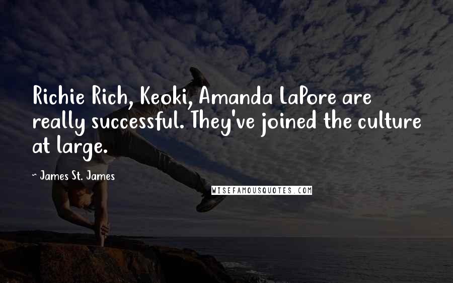 James St. James Quotes: Richie Rich, Keoki, Amanda LaPore are really successful. They've joined the culture at large.