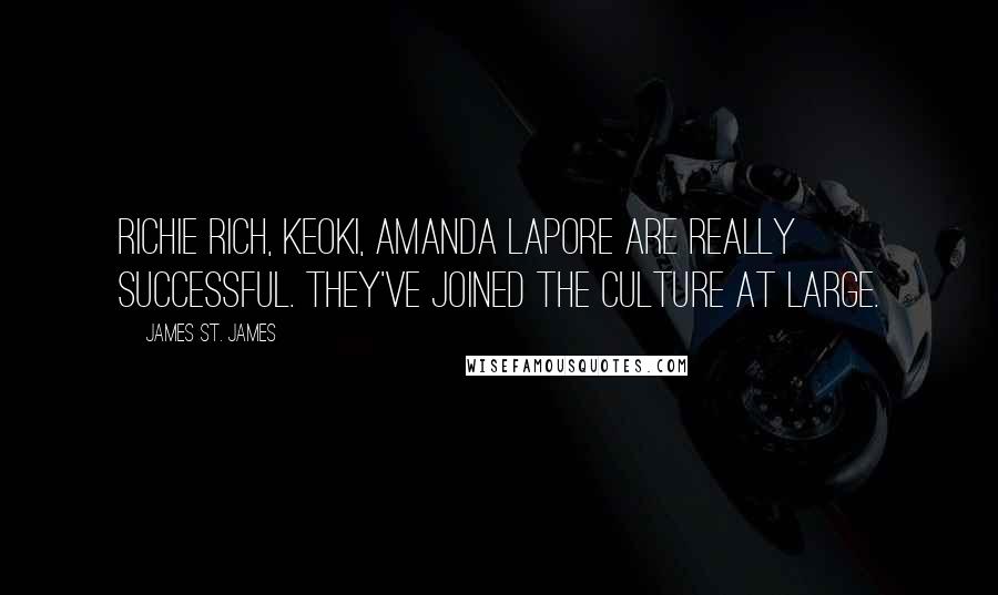 James St. James Quotes: Richie Rich, Keoki, Amanda LaPore are really successful. They've joined the culture at large.