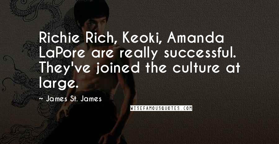 James St. James Quotes: Richie Rich, Keoki, Amanda LaPore are really successful. They've joined the culture at large.