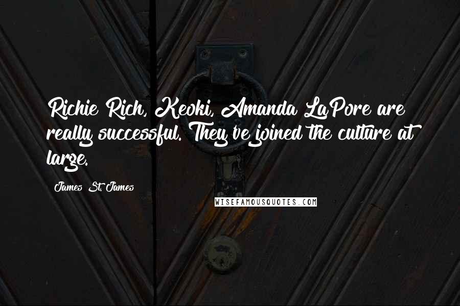 James St. James Quotes: Richie Rich, Keoki, Amanda LaPore are really successful. They've joined the culture at large.