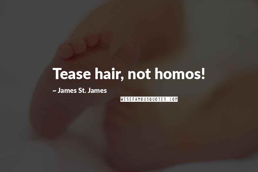 James St. James Quotes: Tease hair, not homos!