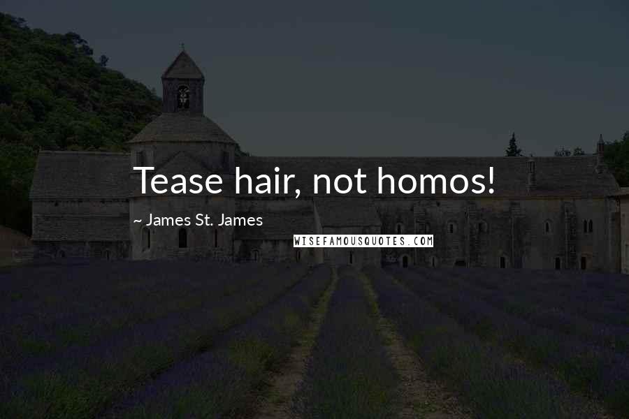 James St. James Quotes: Tease hair, not homos!