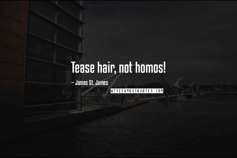 James St. James Quotes: Tease hair, not homos!