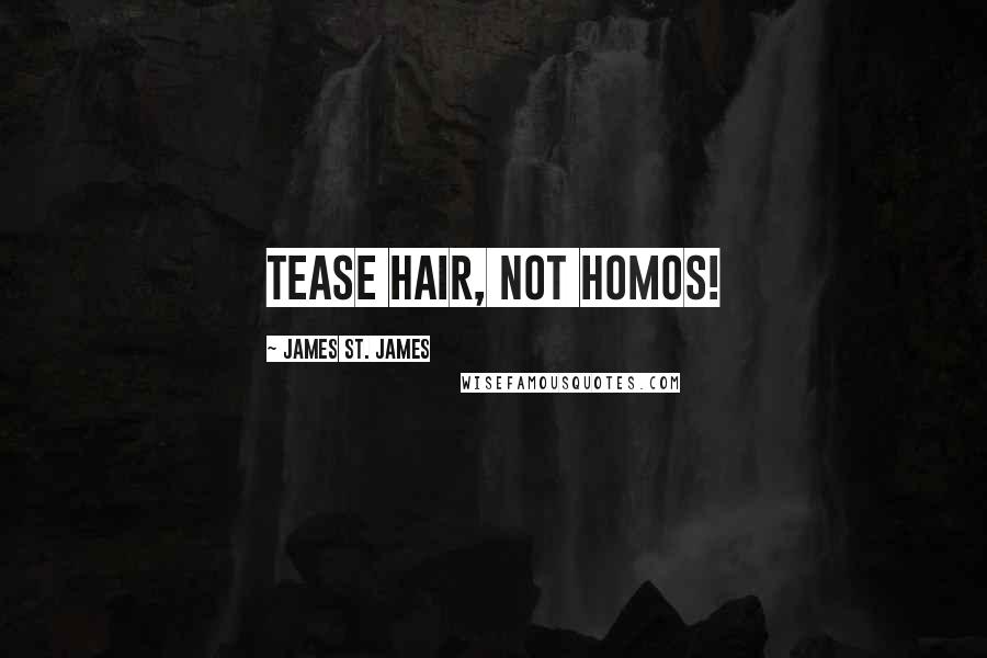 James St. James Quotes: Tease hair, not homos!