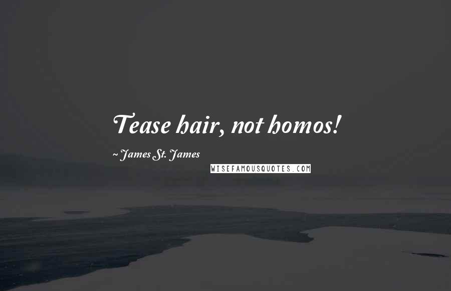 James St. James Quotes: Tease hair, not homos!