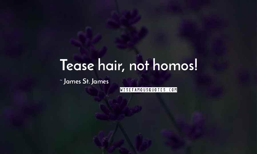 James St. James Quotes: Tease hair, not homos!