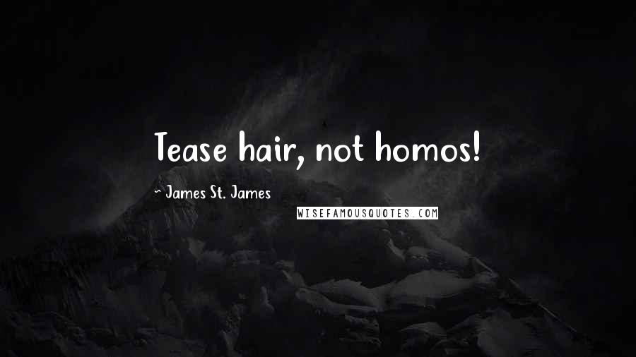 James St. James Quotes: Tease hair, not homos!