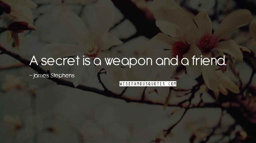 James Stephens Quotes: A secret is a weapon and a friend.