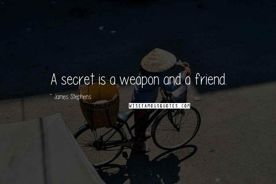 James Stephens Quotes: A secret is a weapon and a friend.
