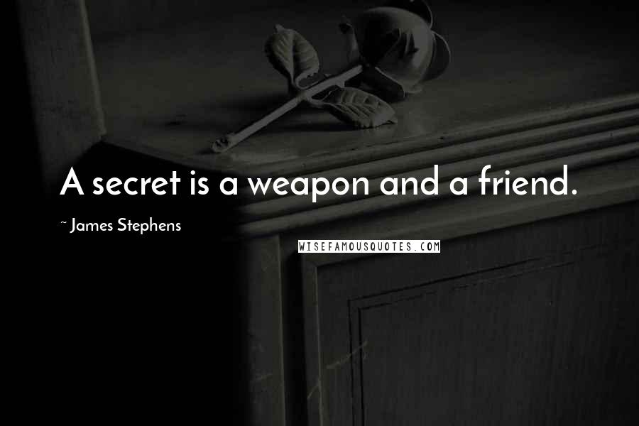 James Stephens Quotes: A secret is a weapon and a friend.