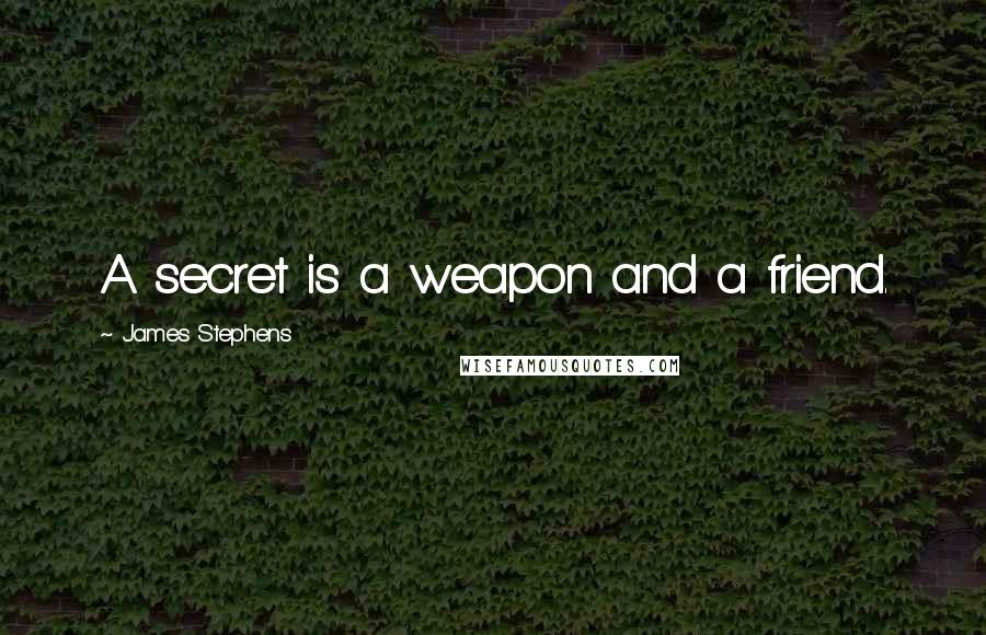James Stephens Quotes: A secret is a weapon and a friend.