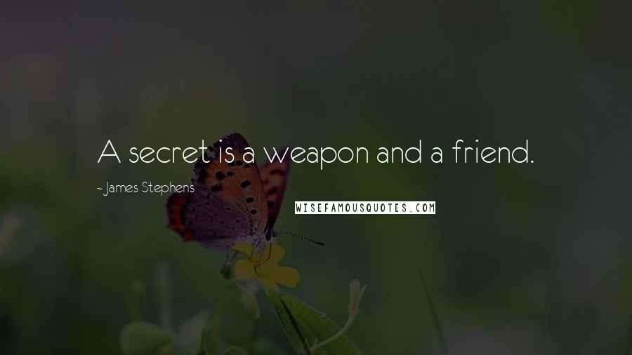 James Stephens Quotes: A secret is a weapon and a friend.