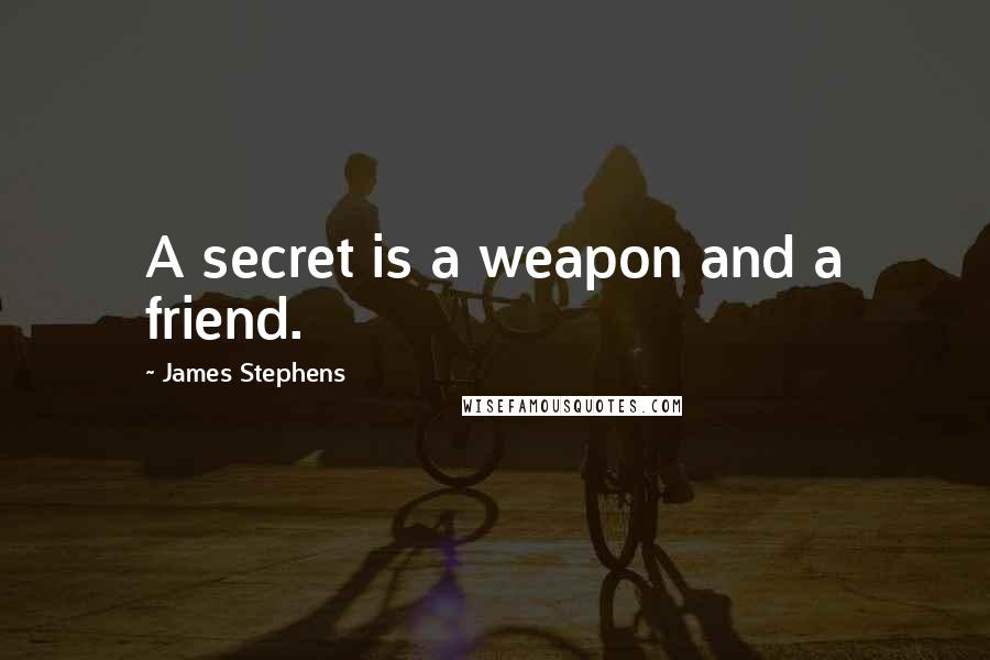 James Stephens Quotes: A secret is a weapon and a friend.