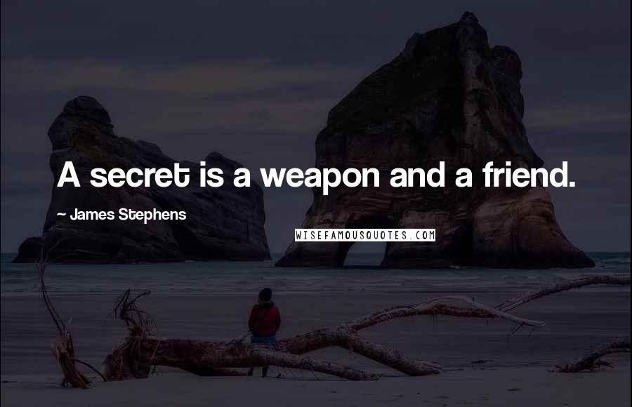 James Stephens Quotes: A secret is a weapon and a friend.