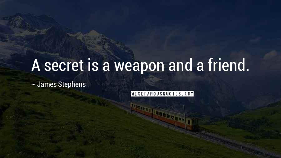 James Stephens Quotes: A secret is a weapon and a friend.