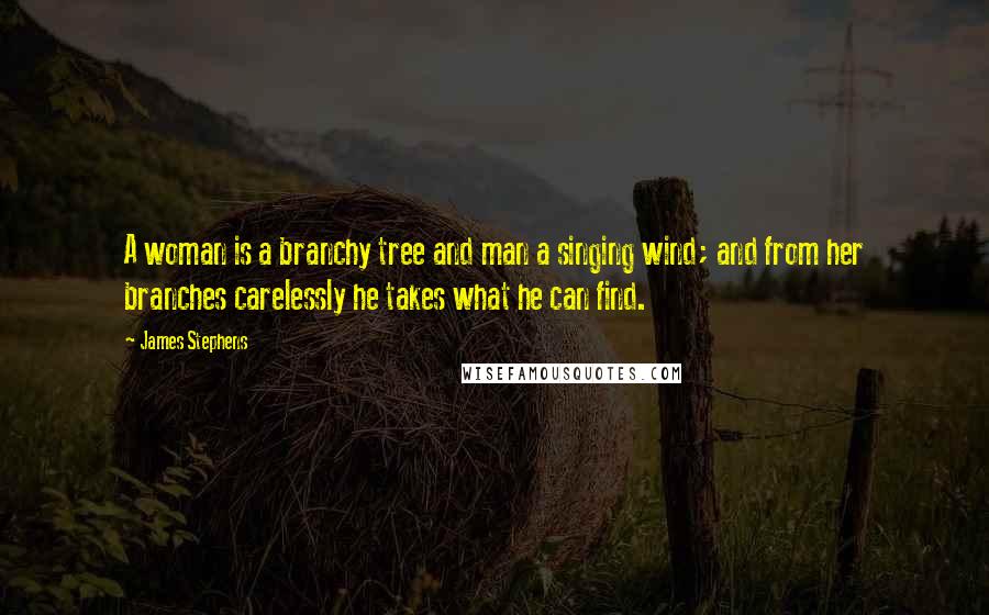 James Stephens Quotes: A woman is a branchy tree and man a singing wind; and from her branches carelessly he takes what he can find.