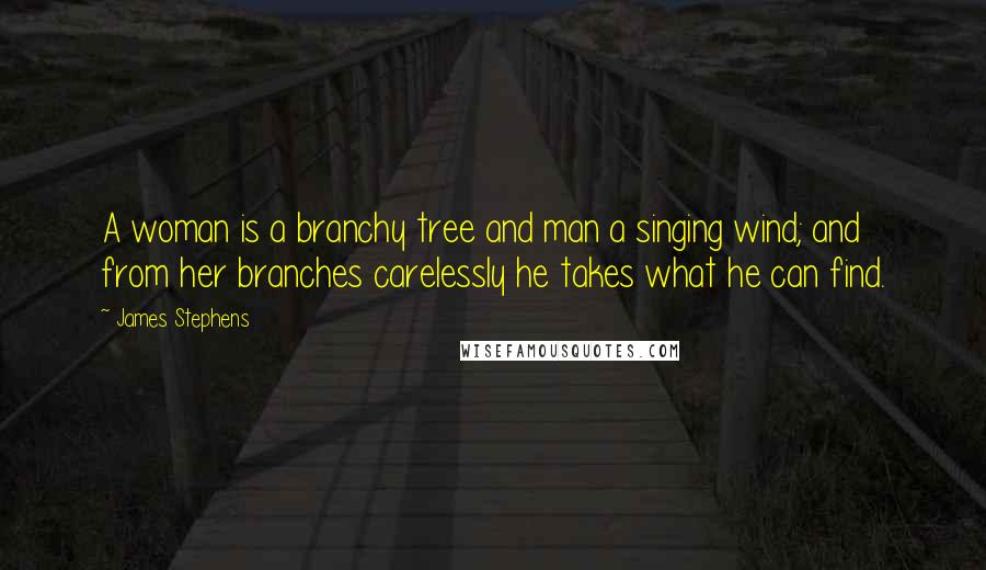 James Stephens Quotes: A woman is a branchy tree and man a singing wind; and from her branches carelessly he takes what he can find.