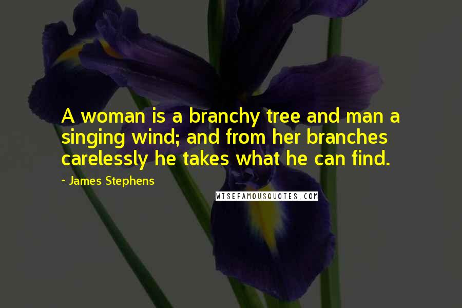 James Stephens Quotes: A woman is a branchy tree and man a singing wind; and from her branches carelessly he takes what he can find.