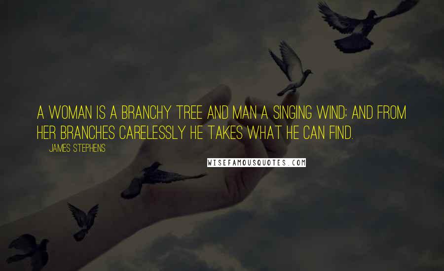 James Stephens Quotes: A woman is a branchy tree and man a singing wind; and from her branches carelessly he takes what he can find.