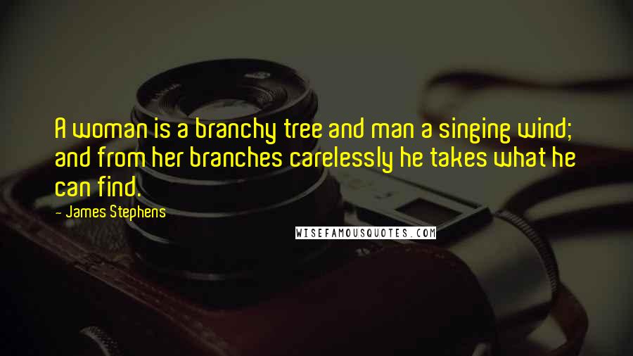 James Stephens Quotes: A woman is a branchy tree and man a singing wind; and from her branches carelessly he takes what he can find.