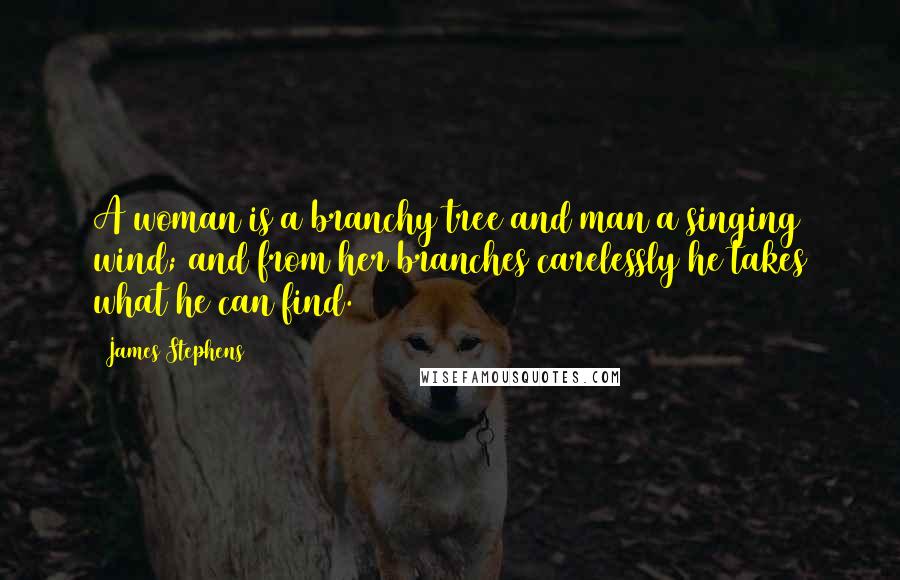 James Stephens Quotes: A woman is a branchy tree and man a singing wind; and from her branches carelessly he takes what he can find.