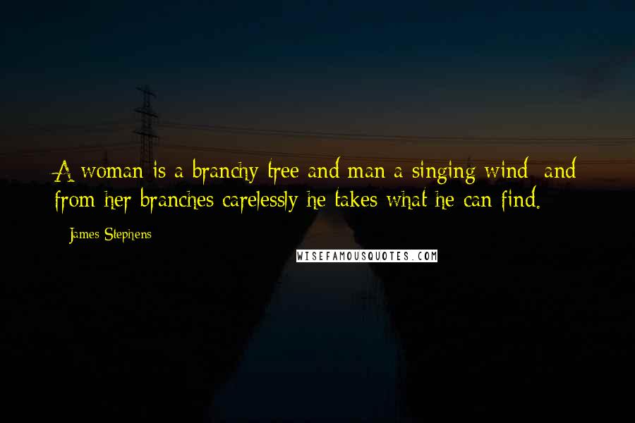 James Stephens Quotes: A woman is a branchy tree and man a singing wind; and from her branches carelessly he takes what he can find.