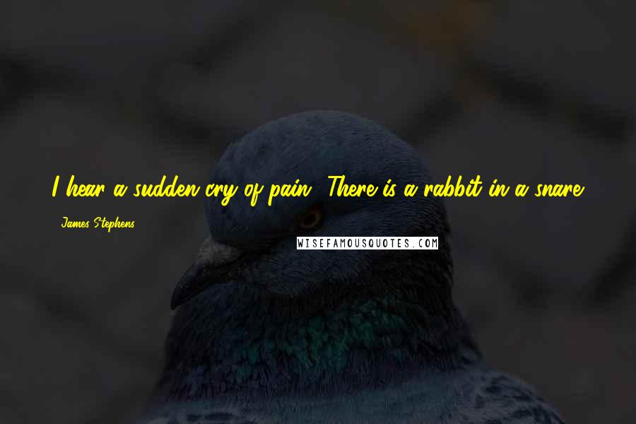 James Stephens Quotes: I hear a sudden cry of pain! There is a rabbit in a snare.