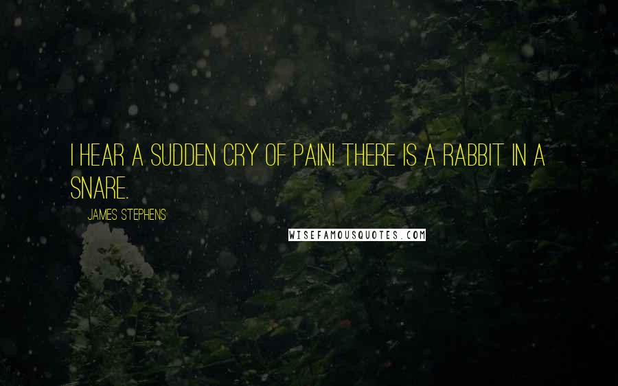 James Stephens Quotes: I hear a sudden cry of pain! There is a rabbit in a snare.
