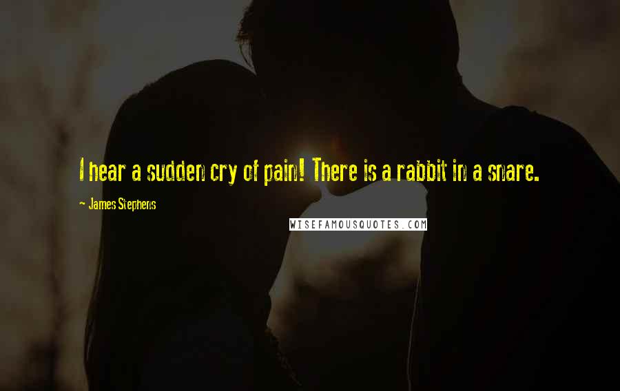 James Stephens Quotes: I hear a sudden cry of pain! There is a rabbit in a snare.