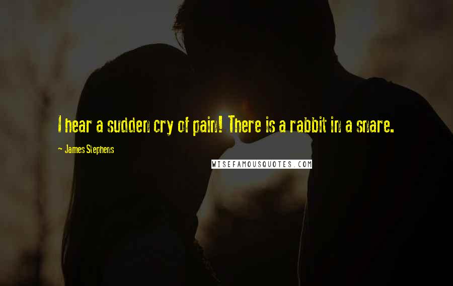 James Stephens Quotes: I hear a sudden cry of pain! There is a rabbit in a snare.