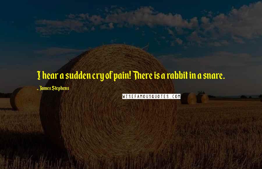 James Stephens Quotes: I hear a sudden cry of pain! There is a rabbit in a snare.