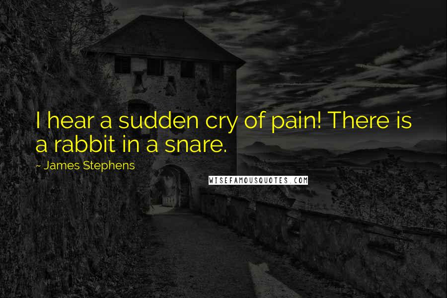 James Stephens Quotes: I hear a sudden cry of pain! There is a rabbit in a snare.