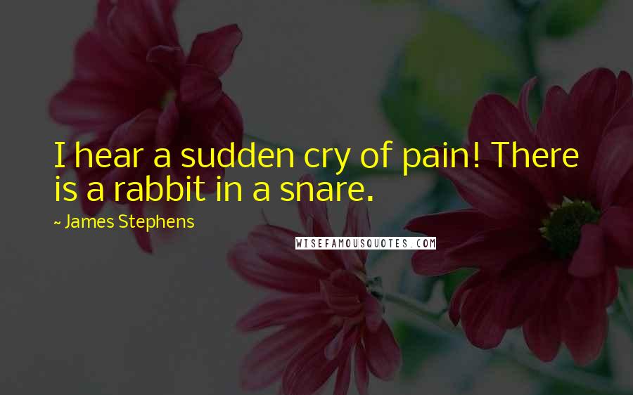 James Stephens Quotes: I hear a sudden cry of pain! There is a rabbit in a snare.